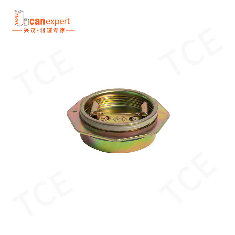 TCE- Prezzo di fabbrica Il metallo può diametro 32 mm Copertina flangia cieca in stasa